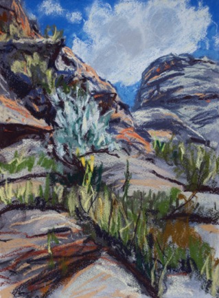 Lone tree, on a rock face Isalo
Pastel on Paper, 37cm x 28cm