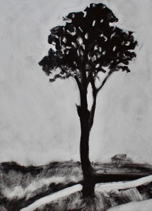 Tree in the dry plains
 7"x 9 1/2", Mono-Print