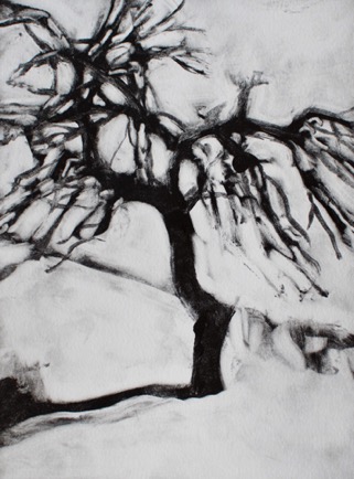 Salt sprayed Daro tree
 7"x 9 1/2", Mono-Print