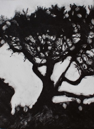 Pine tree by the sea
 7"x 9 1/2", Mono-Print