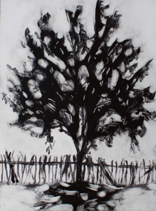 Akao Tree by a shrine
 7"x 9 1/2", Mono-Print