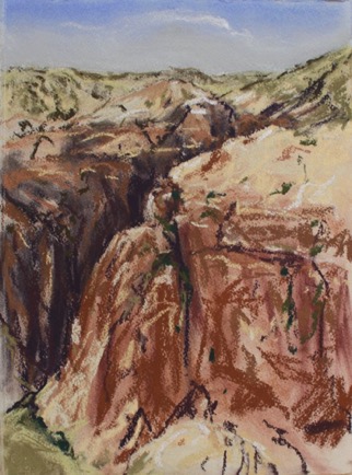 Gully in Dana Valley,
pastel on paper, 2013
37cm x 28cm