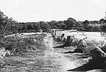 Irregular lines of stones at Kermario in Brittany