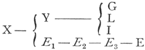 X to Y to G, L and I; X to E 1 to E 2 to E 3 to E