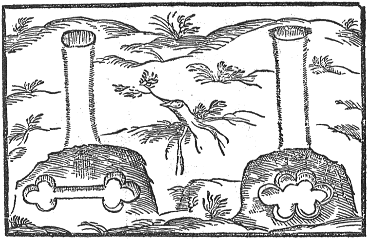 Cross-section of deneholes, from Camden's Britannia