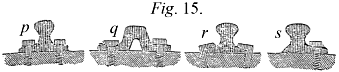 Fixing rails on continuous bearings