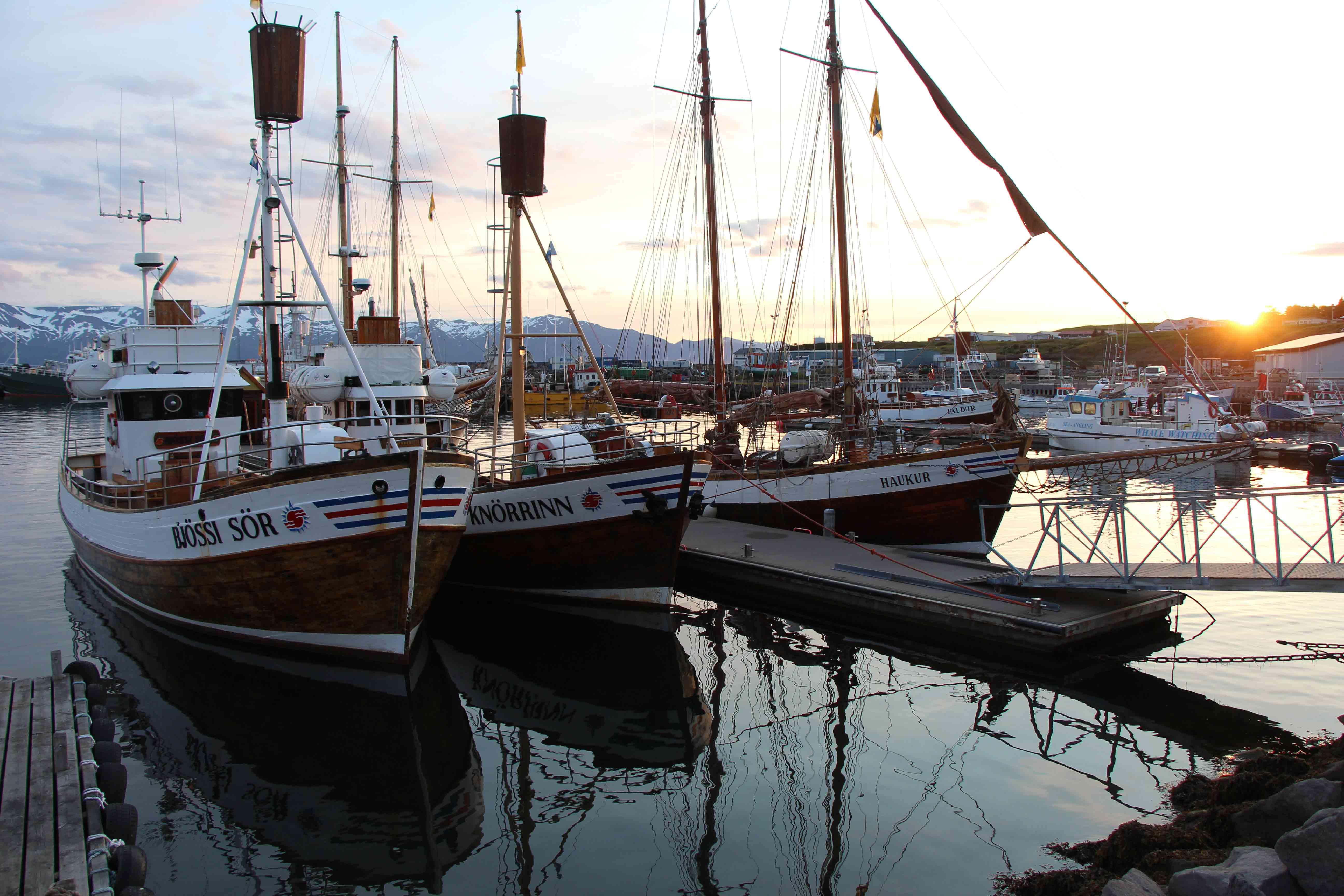 G_01_husavik